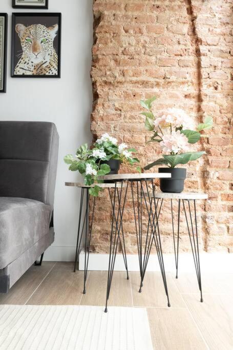 Apartamento 1Hab Con Estilo Cerca De Ventas Madrid Luaran gambar